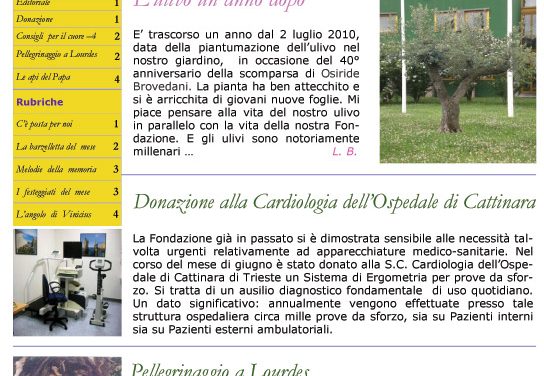 Anno 2 – Numero 7 – Luglio 2011
