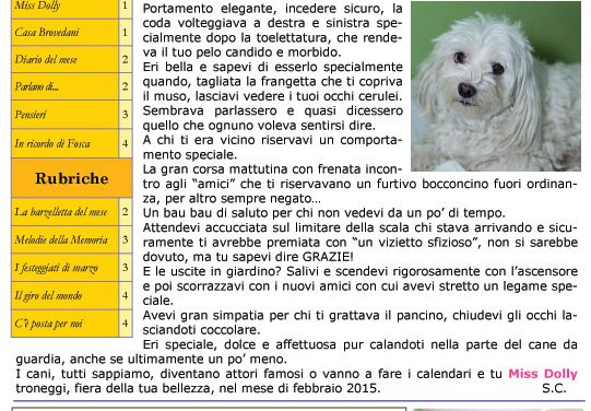 Anno 6 – Numero 3 – Marzo 2015